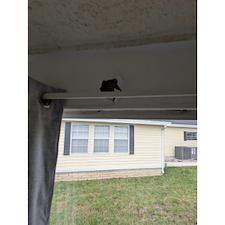 Elevating-Your-Home-with-Expert-Florida-Room-Renovations 4