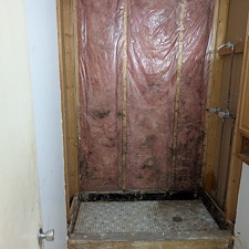Spring-Hills-Premier-Bathroom-Renovations-by-Mr-Genie-Handyman 1