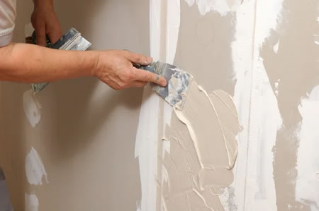 Painting and Wall Repairs
