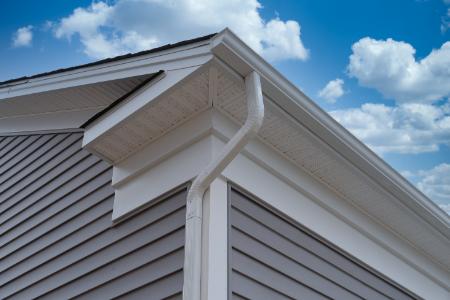 Gutter Cleaning